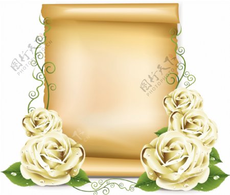黄玫瑰复古纸张卷轴图片