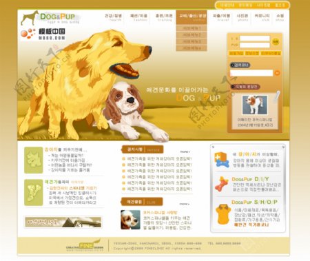 宠物网站韩国网页模板PSD