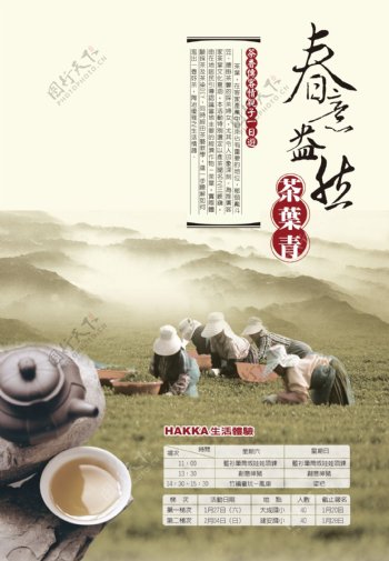 春茶宣传页宣传单海报