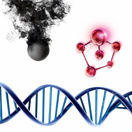 分子结构DNA结构图
