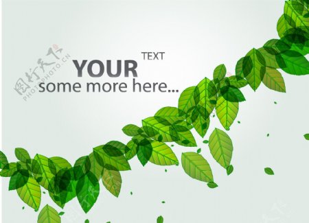 绿色叶子广告模版