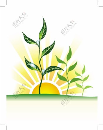 日落植物水珠矢量素材风景矢量图日落矢量植物矢量素材下载eps