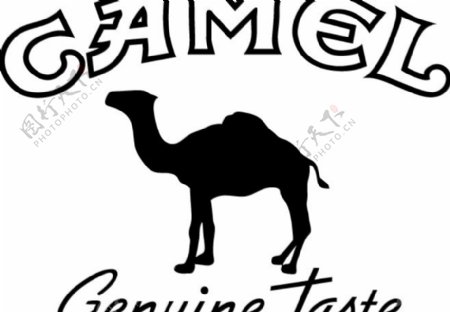 Camellogo设计欣赏骆驼标志设计欣赏