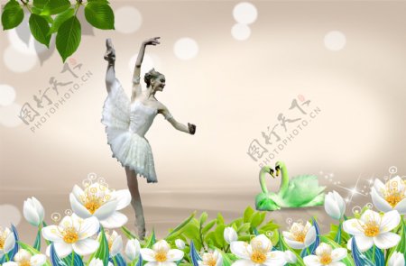 天鹅湖芭蕾美女图片