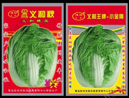 蔬菜白菜展板图片