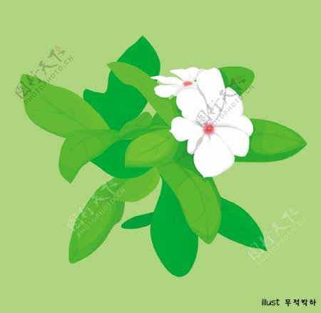 印花矢量图插画植物花卉色彩免费素材