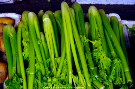 西芹菜蔬菜芹菜图片