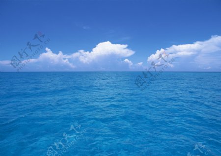 海水图片