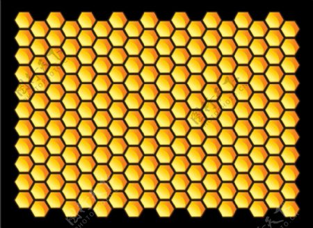 蜜蜂蜂巢矢量素材