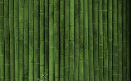 高清绿色竹子背景