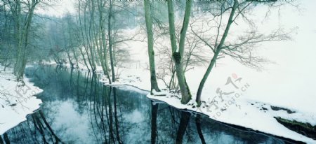 冬天雪景