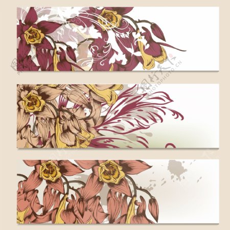 手绘花纹花朵横幅图片