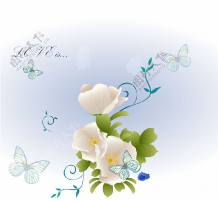 移门图片素材白色花朵和蝴蝶
