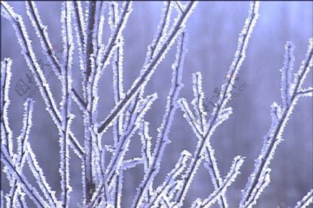 雪景视频素材素材下载