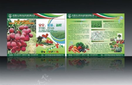 有机蔬菜及农业荔枝宣传单图片