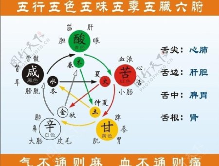 中医五行图图片