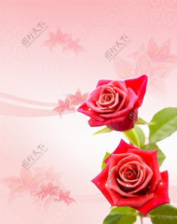鲜红玫瑰花玻璃门图案图片