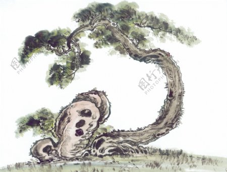 中华艺术绘画古画绘画植物梅花中国古代绘画
