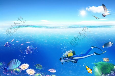 海底鱼水母潜水探索潜水员影骑韩国实用设计分层源文件PSD源文件