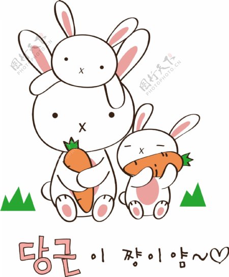 兔子们抱着胡萝卜图片