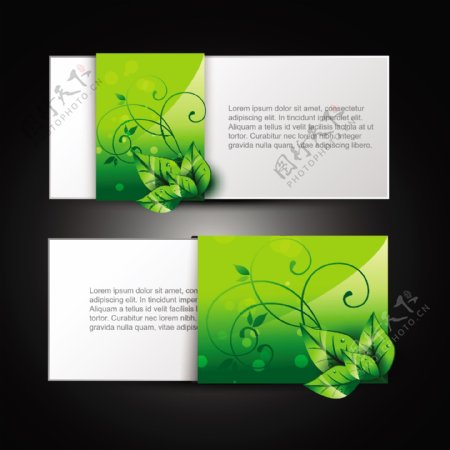 绿叶水珠水滴卡片图片