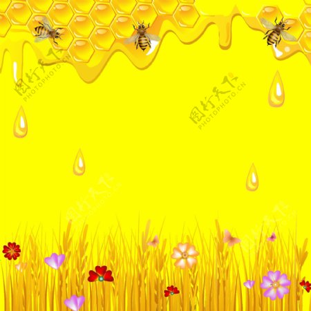 蜜蜂采蜜蜂蜜标签图片