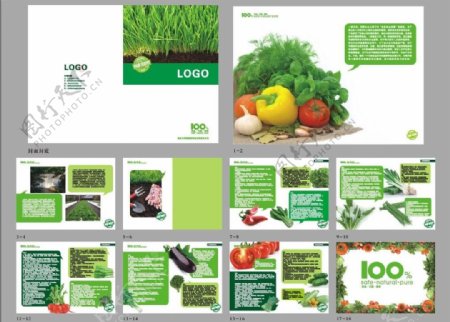 有机蔬菜画册图片