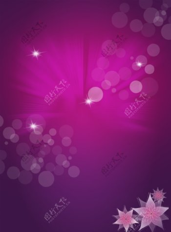紫色背景图片