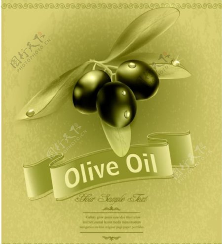 橄榄油标签图片