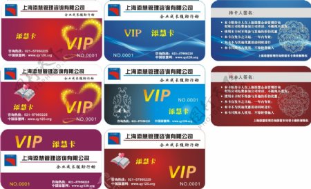 投资公司vip卡片矢量图