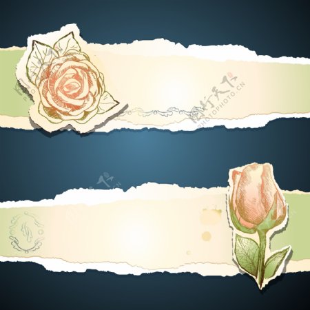 矢量玫瑰花朵复古背景卡片
