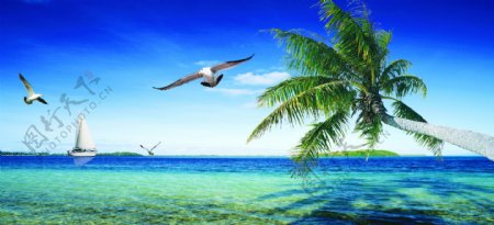 蓝天椰树小海湾图片