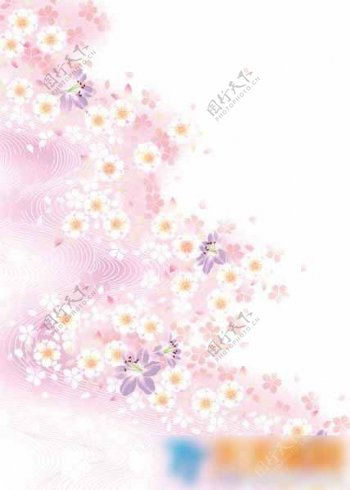 韩式小花朵背景图