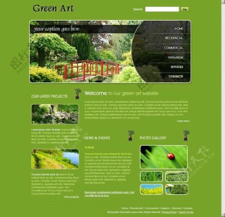 大自然国外创意网站模板