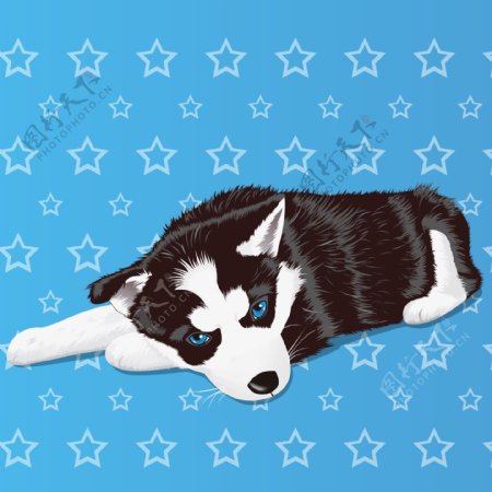 印花矢量图卡通动物小狗色彩黑白色免费素材