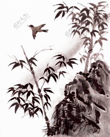 国画竹鸟图图片