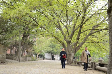 城市街道图片