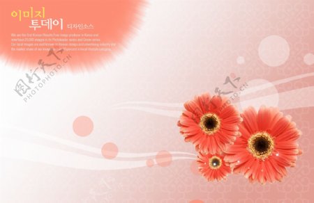 鲜花花朵装饰装修浪漫柔情梦幻韩国花纹图库2psd分层素材源文件
