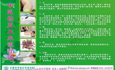 中医五大主流疗法图片