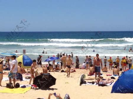 悉尼manly海滩图片