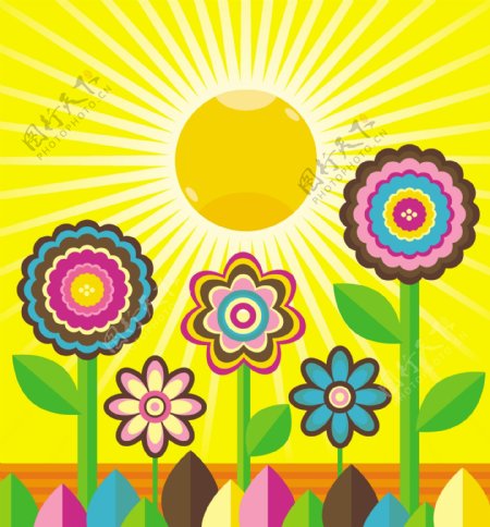 太阳花朵矢量图