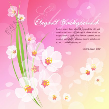 色彩鲜艳的花朵卡片背景矢量素材