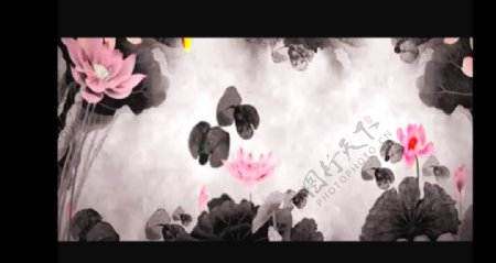水墨金鱼花朵视频素材
