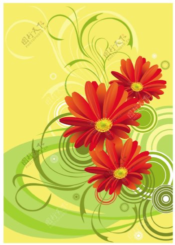 非洲菊切花的背景设计