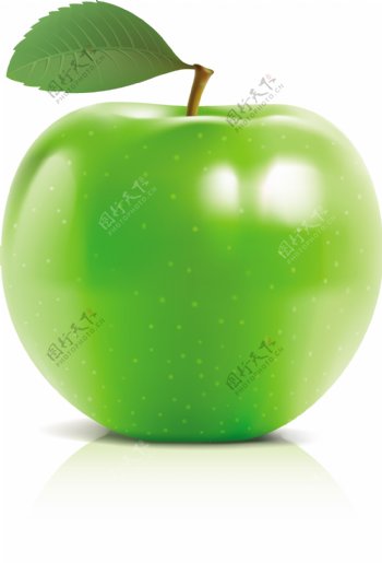 绿苹果矢量图片