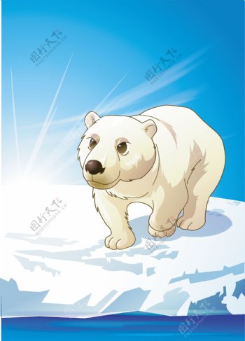 动物插画北极熊图片