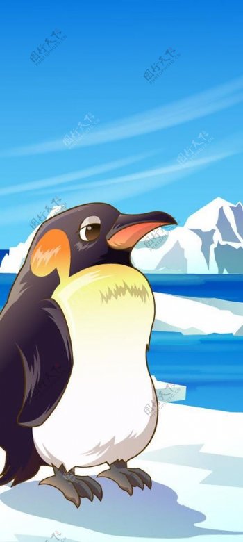 可爱动物绿色南极企鹅图片
