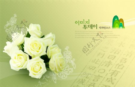 韩国鲜花