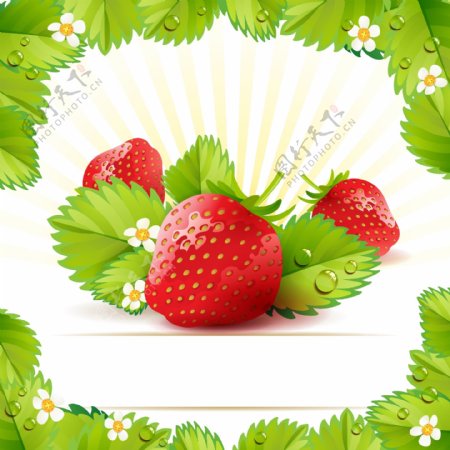 草莓背景矢量素材1