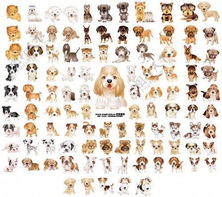 105条可爱的小狗版本矢量素材